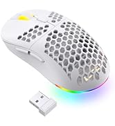 LTC WHM-001 Mosh Pit Wireless Gaming Mouse, 10,000 DPI 2.4Ghz/ Wired RGB Ambidextrous Mice w/ Lig...