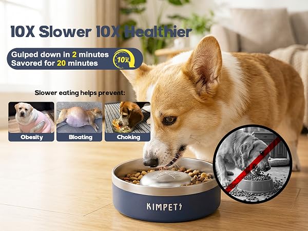 Dog Slow Feeder Bowl