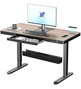 ERGO COLLECT Electric Standing Desk with Cable Management,Sit to Stand Office Desk with Wireless ...