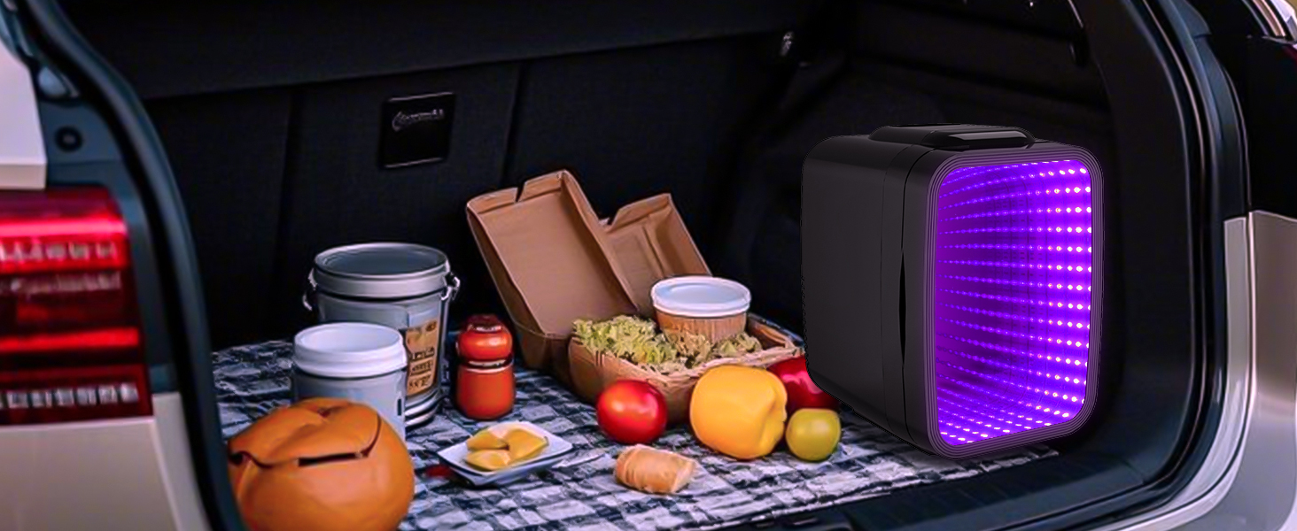 Mini Fridge Small Refrigerator Portable Thermoelectric Cooler and Warmer Fridge