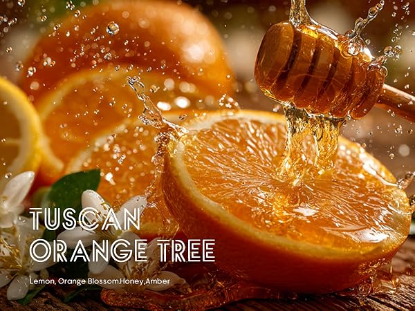 Tusacan Orange Tree