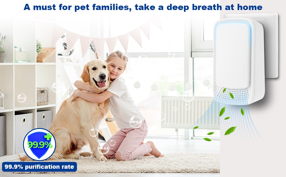 Air Purifiers for Small Space