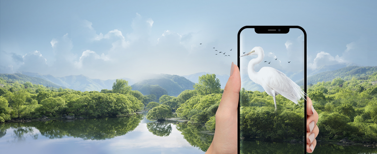 Original Color Display