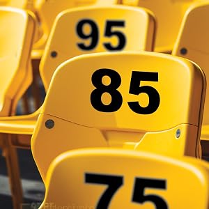 SSIGNS Vinyl Sticker Numbers
