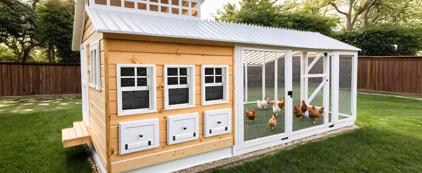 chicken coop window