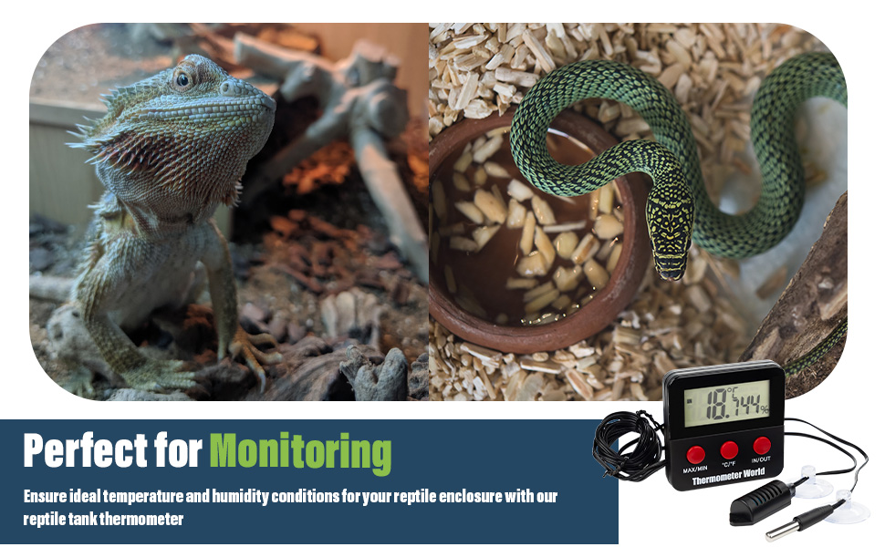 Digital thermometer and hygrometer for reptile enclosures. Device displays temperature and humidity readings. Images show a lizard and a snake in terrariums.