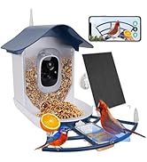 Smart Bird Feeder with Camera, AI Bird Species Recognition, Solar Powered, Auto Record 2K HD Bird...