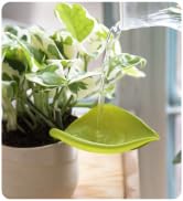 PELEG DESIGN Leaflow Plant Pot Watering Funnel (Set of 3), Plant Watering Devices for Indoor and ...