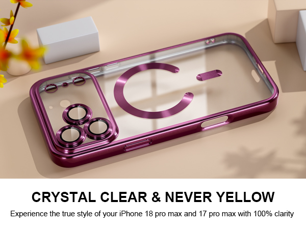 iPhone 18 pro max case