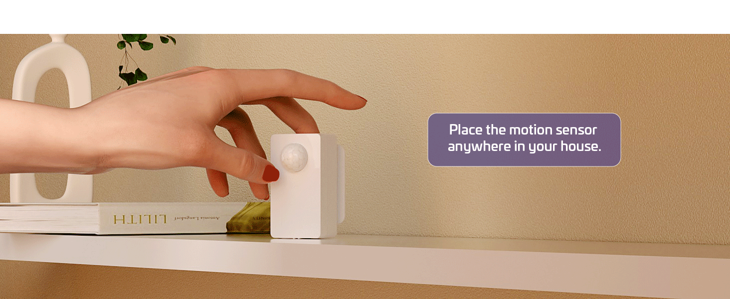 wireless plug switch