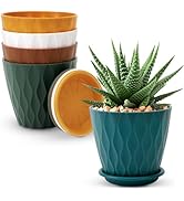plant pots