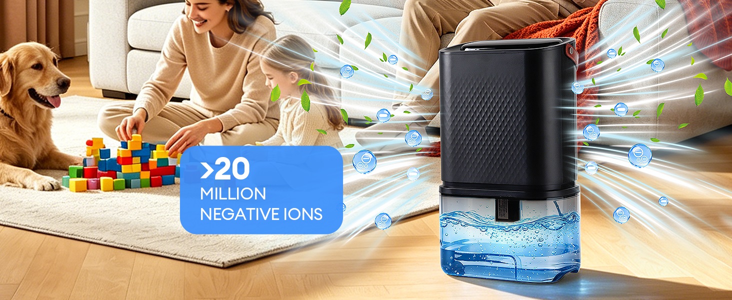 Dehumidifier for Home