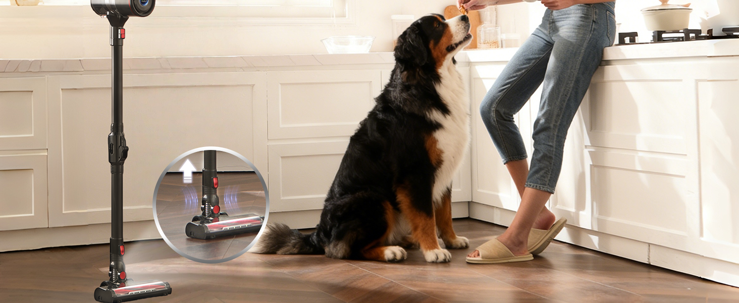 stick vacuum self-standing