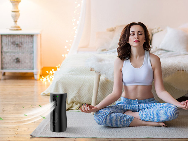 air fresheners for home