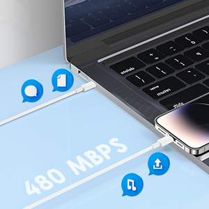 USB C to Lightning Cable