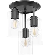 Kalium Light Fixtures Ceiling Mount,3-Light Modern Close to Ceiling Light Fixtures,Replaceable Bu...