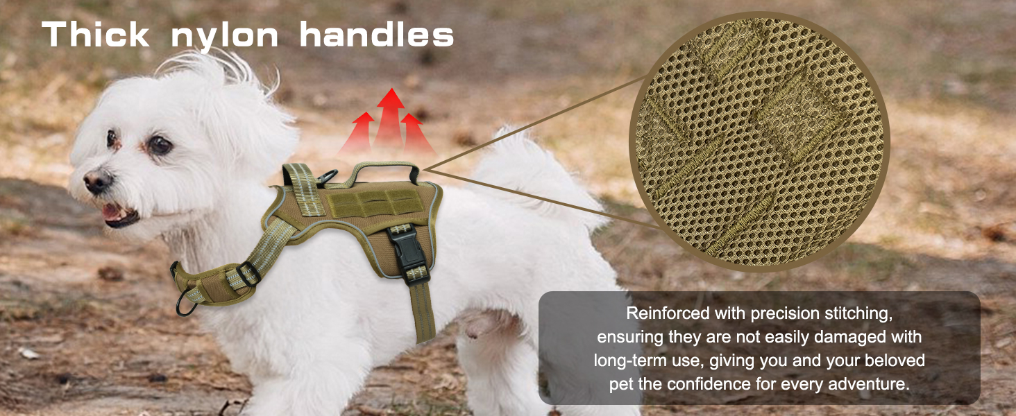 dog harness