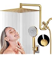 PinWin 12'' Dual Shower Head with Adjustable Extension Arm and 6-Setting Handheld Shower Head Com...