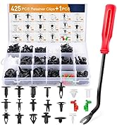 GOOACC 425 Pcs Car Body Retainer Clips Set Tailgate Handle Rod Clip &amp; Fastener Remover - 19 Most ...