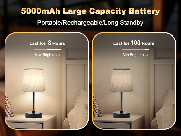 Portable LED Desk Lamp
