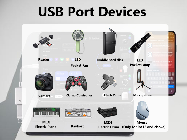 iphone to usb adapter