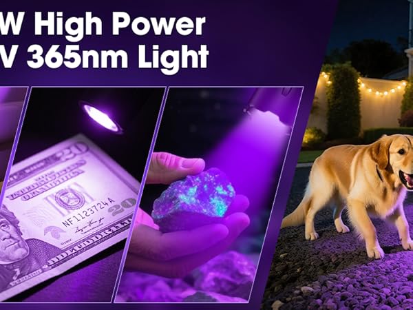 uv light flashlight