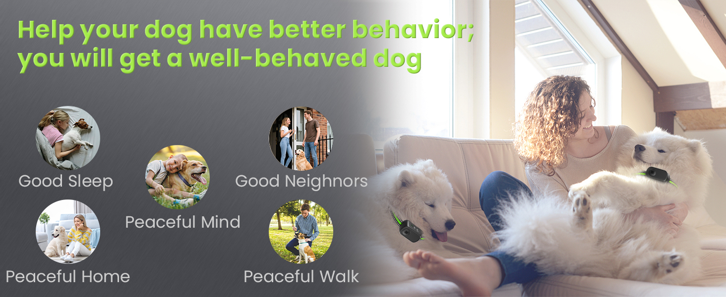 help your dog have batter behavior,you will get a well-behavaed dog