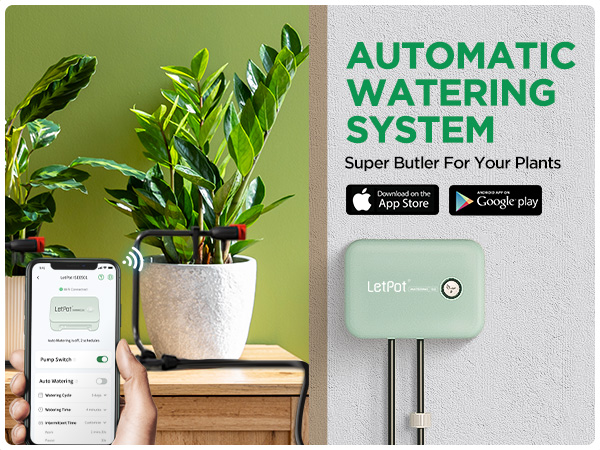 automatic watering system 