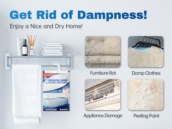 Get Rid of Dampness!
