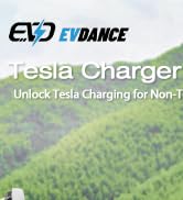EVDANCE Tesla to J1772 Charging Adapter - Max 80 Amp &amp; 250V J1772 EV Adapter Tesla Charger Adapte...