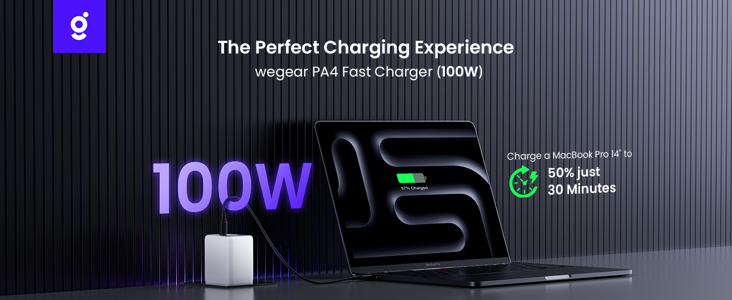 100W Charger