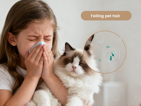 Pet Odors