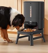 automatic dog feeder large breed
