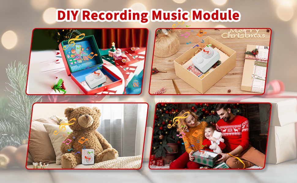 Voice Recording Chip