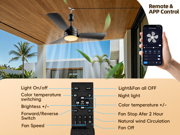 Plug in Ceiling Fan Light