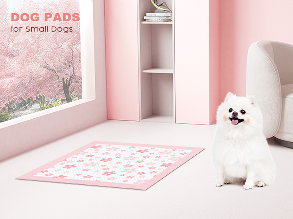 dog pee pads