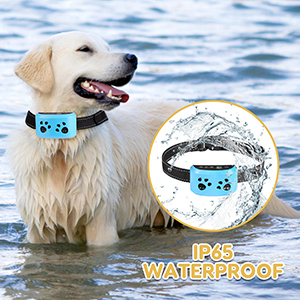 bark collar for small dogs 5-15lbs