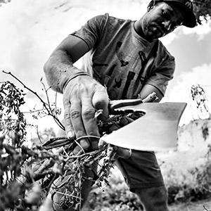 Gerber Pack Hatchet