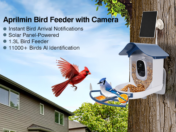 Bird Feeder with Camera