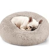 dog bed