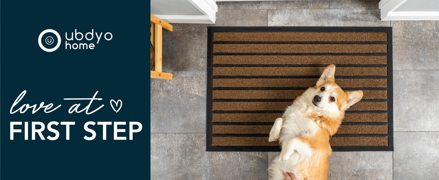 door mat low profile corgi dog