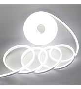 EverBright Led Neon Strip Lights 12V Rope Indoor Outdoor 16.4Ft 600SMD White Silicone Waterproof ...