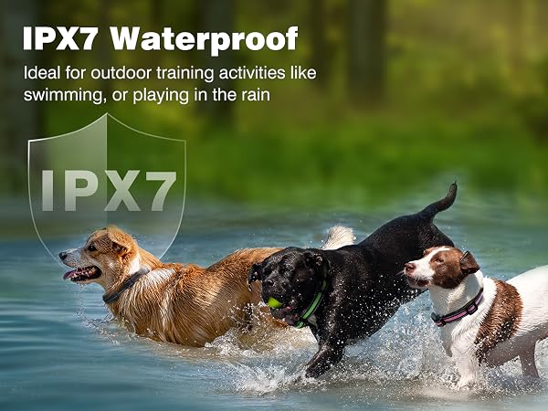e collar for dogs training three pack