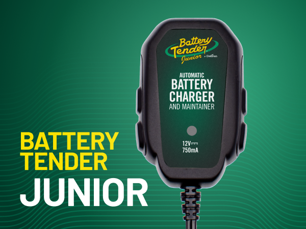 AI Creative Studio Generated Asset