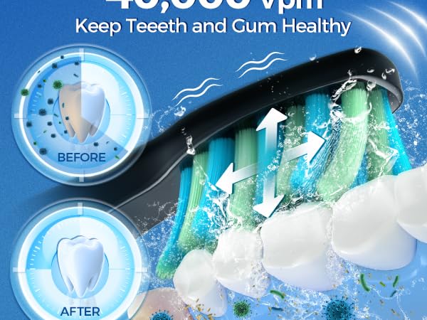 Electric Toothbrush for Adults