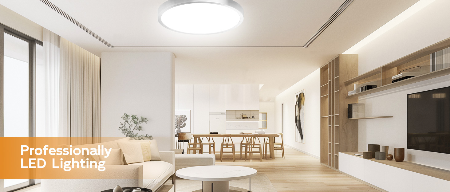 LED ceiling light