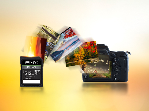 Elite-X Class 10 U3 V30 SD