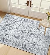 Area Rug 2x3, Washable Rug for Entryway Indoor, Small Area Rug for Living Room Entrance, Vintage ...
