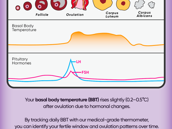 WF-DMT3072-Digital Basal Thermometer mobile 03