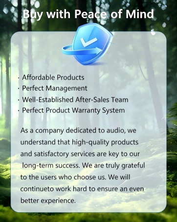 language translator device